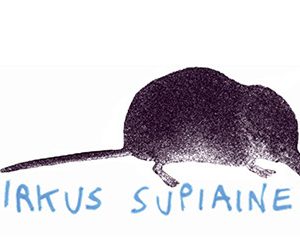 Reunalla (Sirkus Supiainen)
